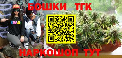 шишки Мирный