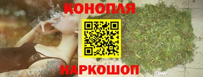 дмт Майкоп