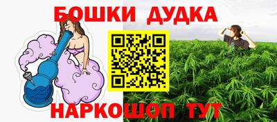 дмт Майкоп