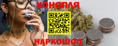 дмт Майкоп