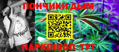 шишки Мирный